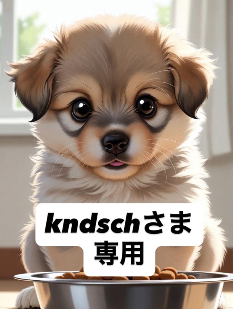kndschさま専用