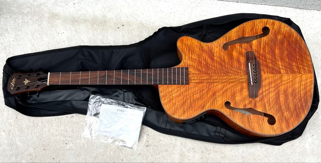 ARIA FET-F2　/アリア　エレアコ