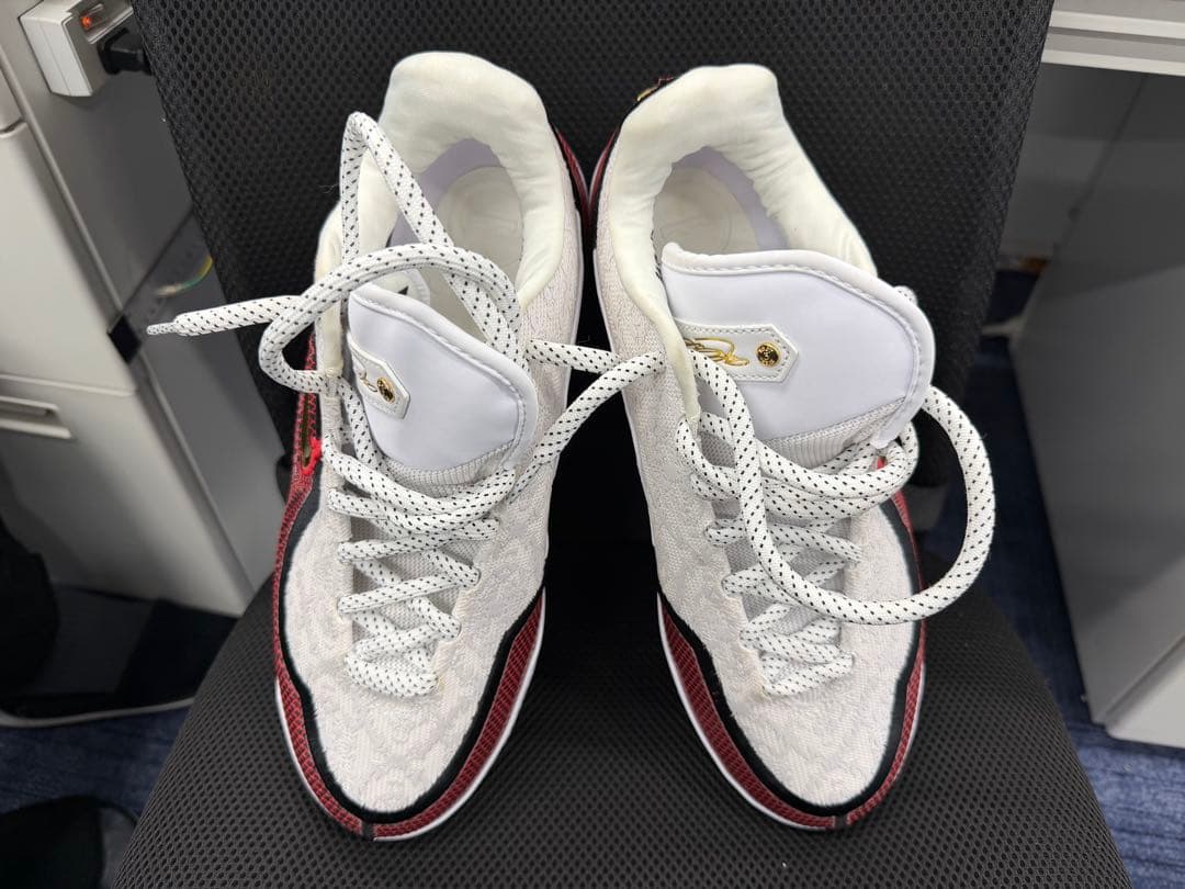 レブロン 23 EP 28.5cm グランド オープニング