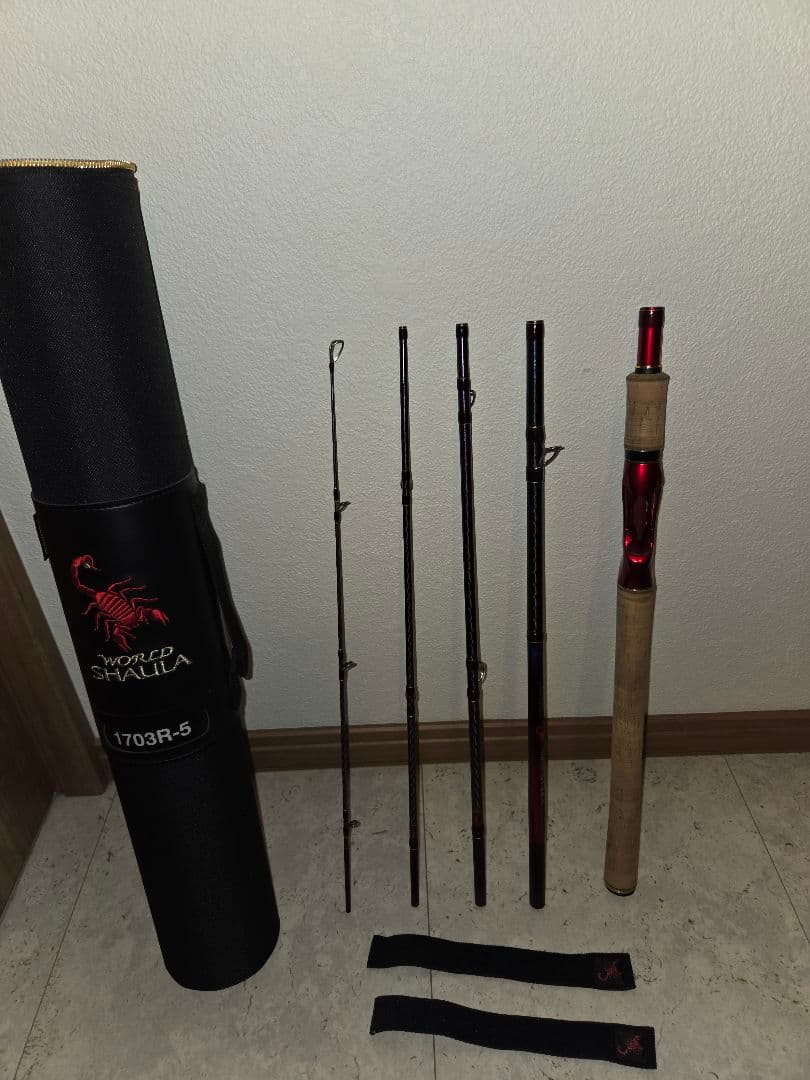 20ワールドシャウラDTE1703R-5