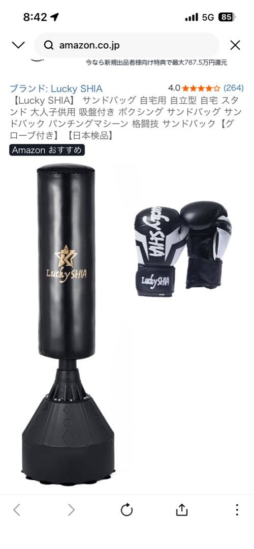 【定価1.5万円】サンドバッグ&グローブ【直渡し】