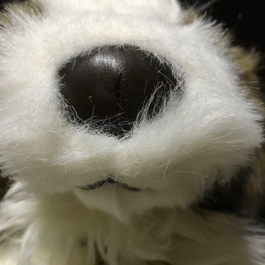 ぬいぐるみ　犬　いぬ　垂れ耳　FIRST×CELINE❣️