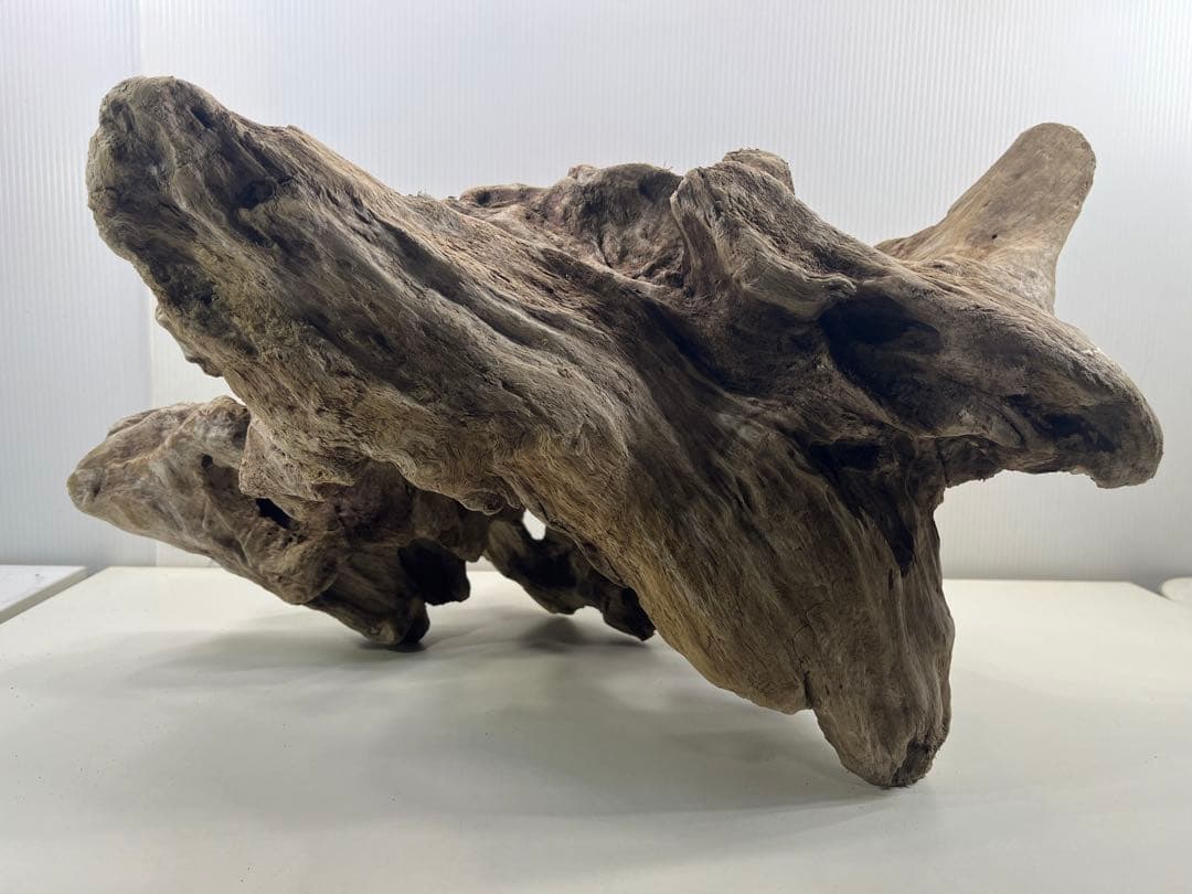 W30大型流木アク抜き済み流木 爬虫類シェルター 登り木 インテリア 生け花