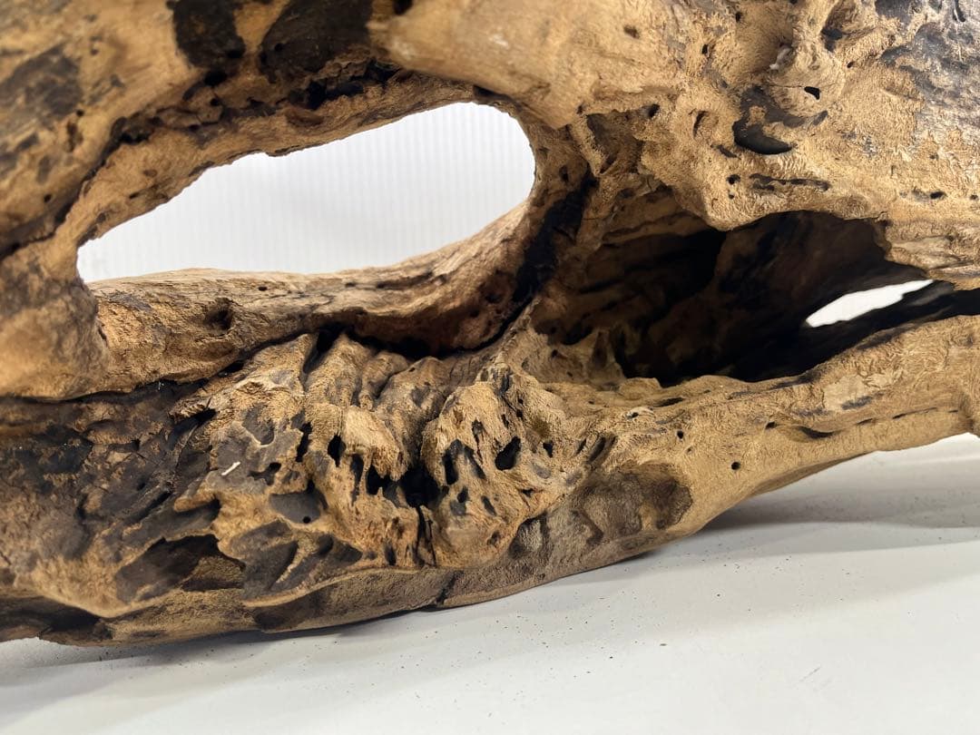 W28特大流木アク抜き済み流木 爬虫類シェルター 登り木 インテリア 生け花