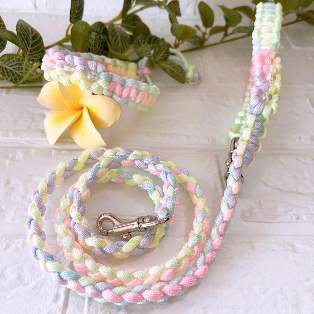 パラコードリード　ハーフチョーク　パステルレインボー　No.0176