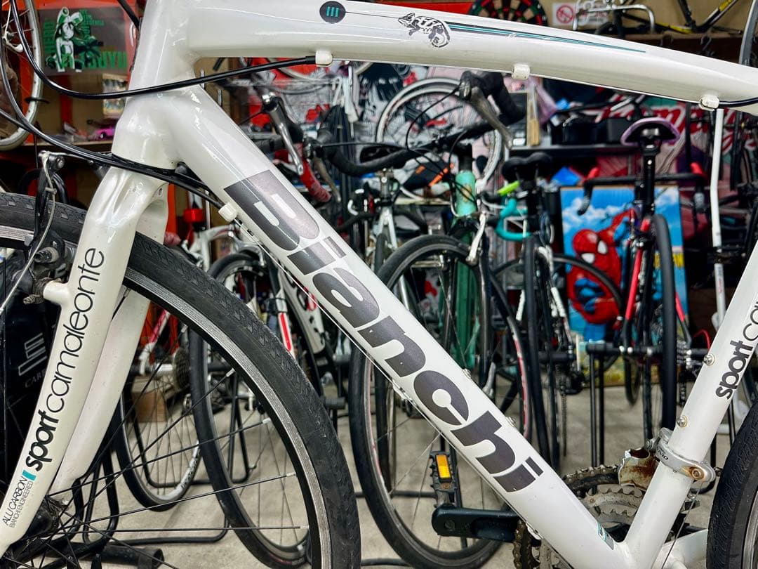 CAMALEONTE SPORT基本分解発送送料無料！完成車配送ご相談ください！