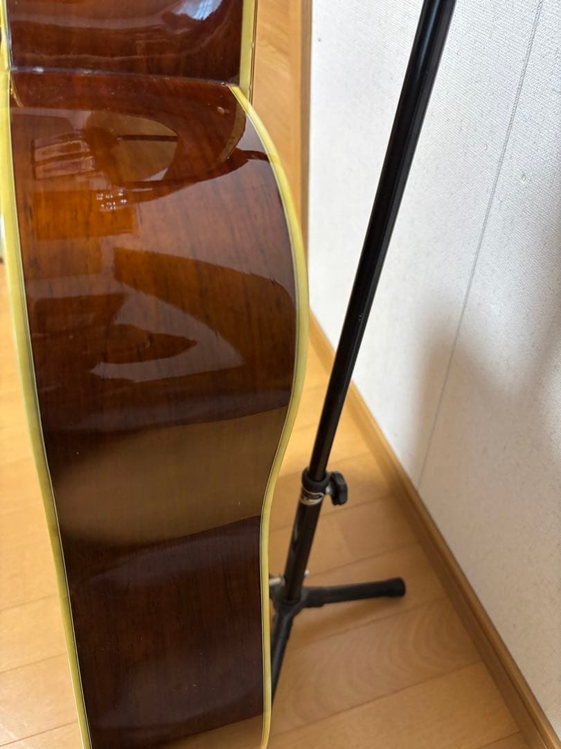 後期型！Morris モーリス　TF W-50 バックハカランダ3p