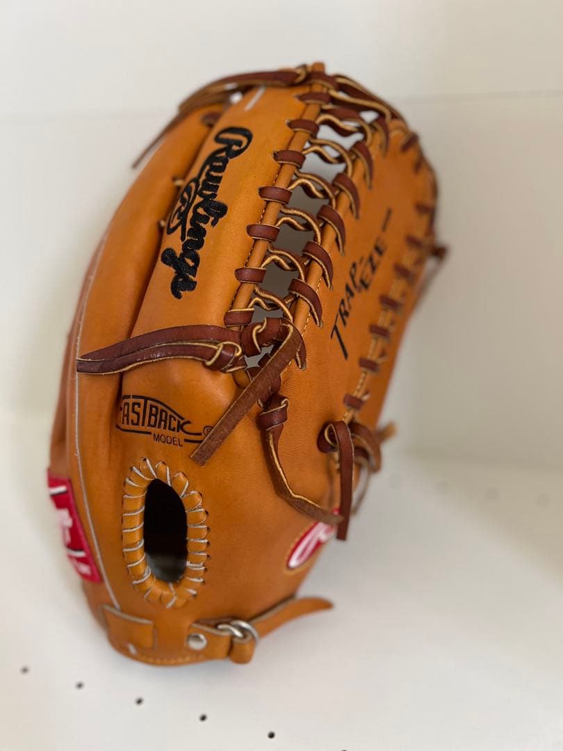 ローリングス 硬式グローブ PROTB24HT