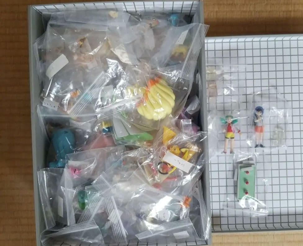 ポケモンスケールワールド