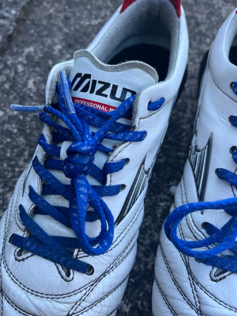 モレリアNEO4 JAPAN 22cm