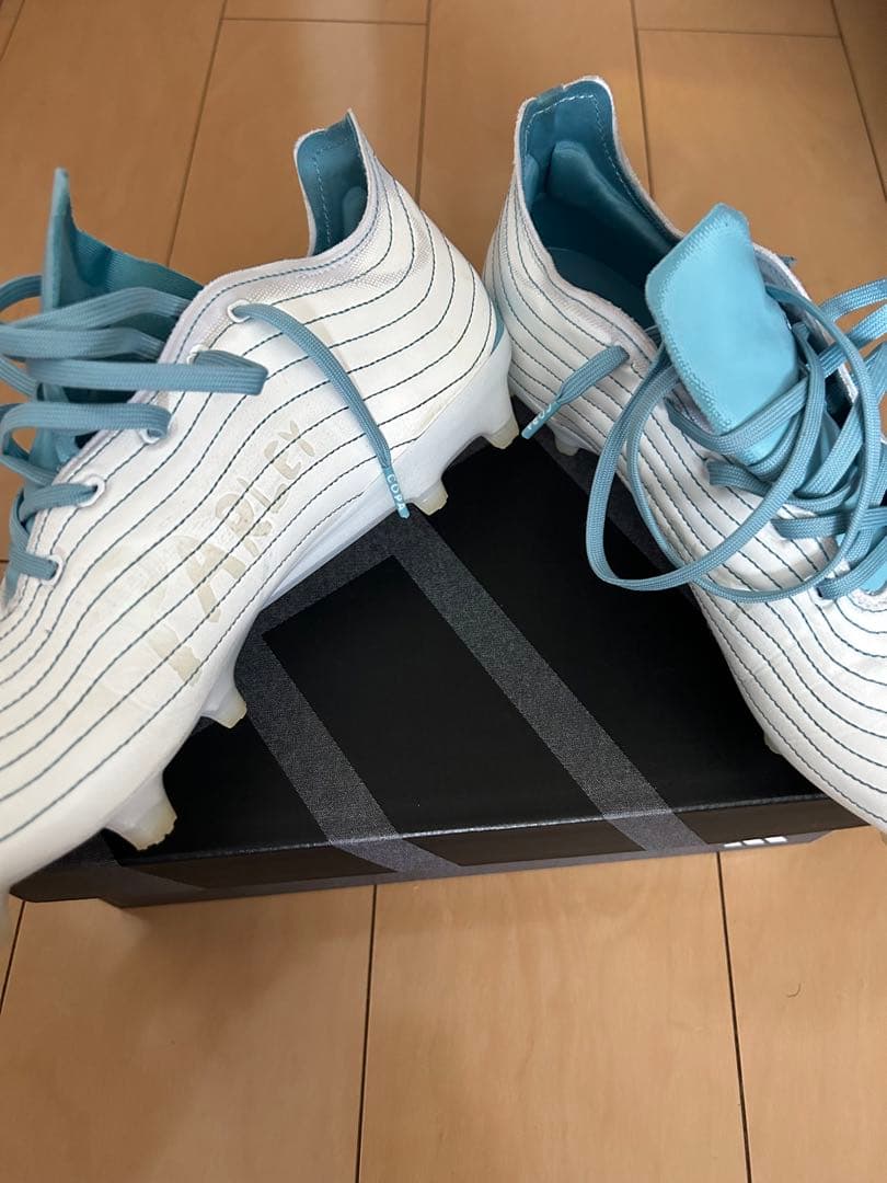 コパピュア.1 FG