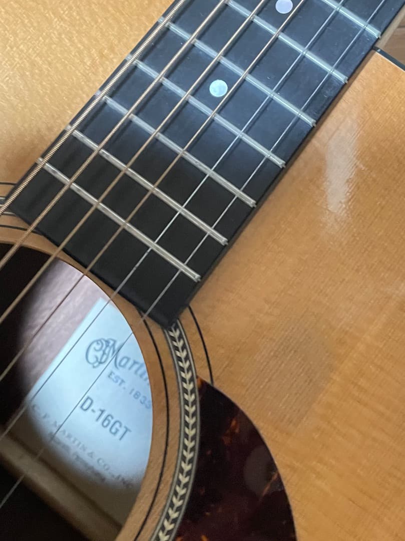 Martin & Co. D-16GT アコースティックギター