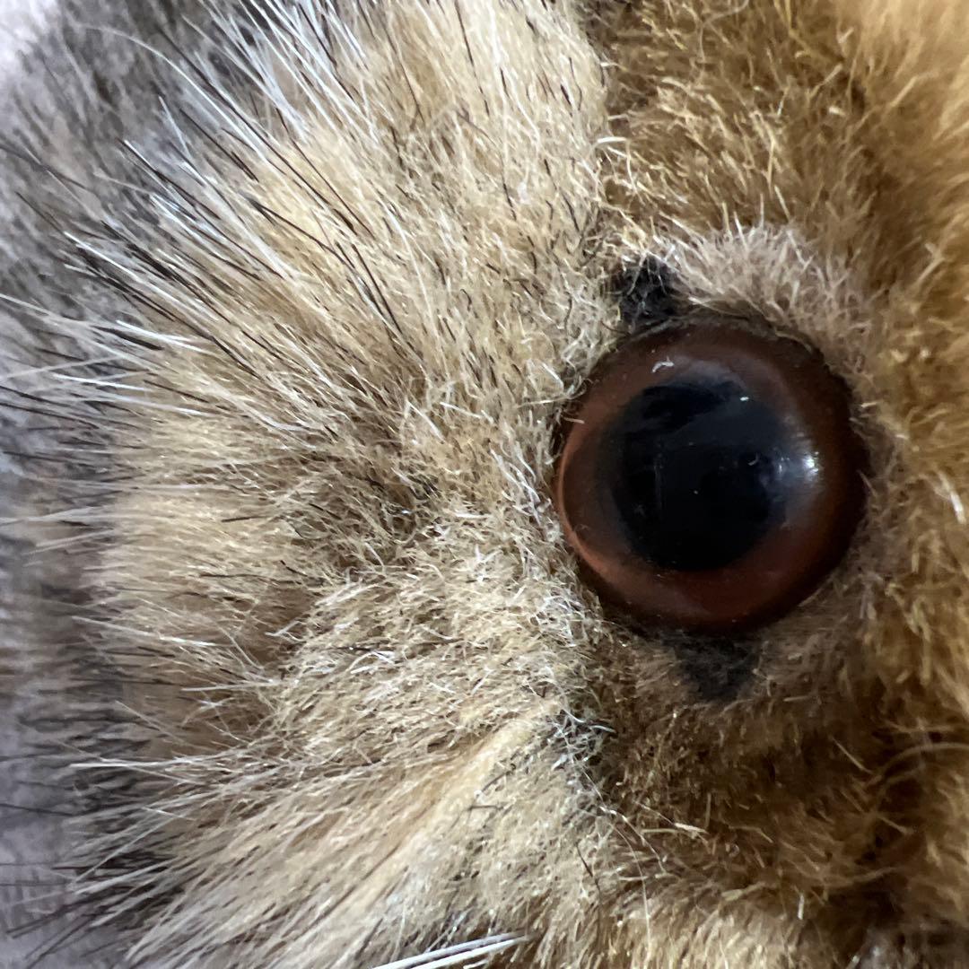 KÖSEN kosen ケーセン ぬいぐるみ ウサギ ドイツ