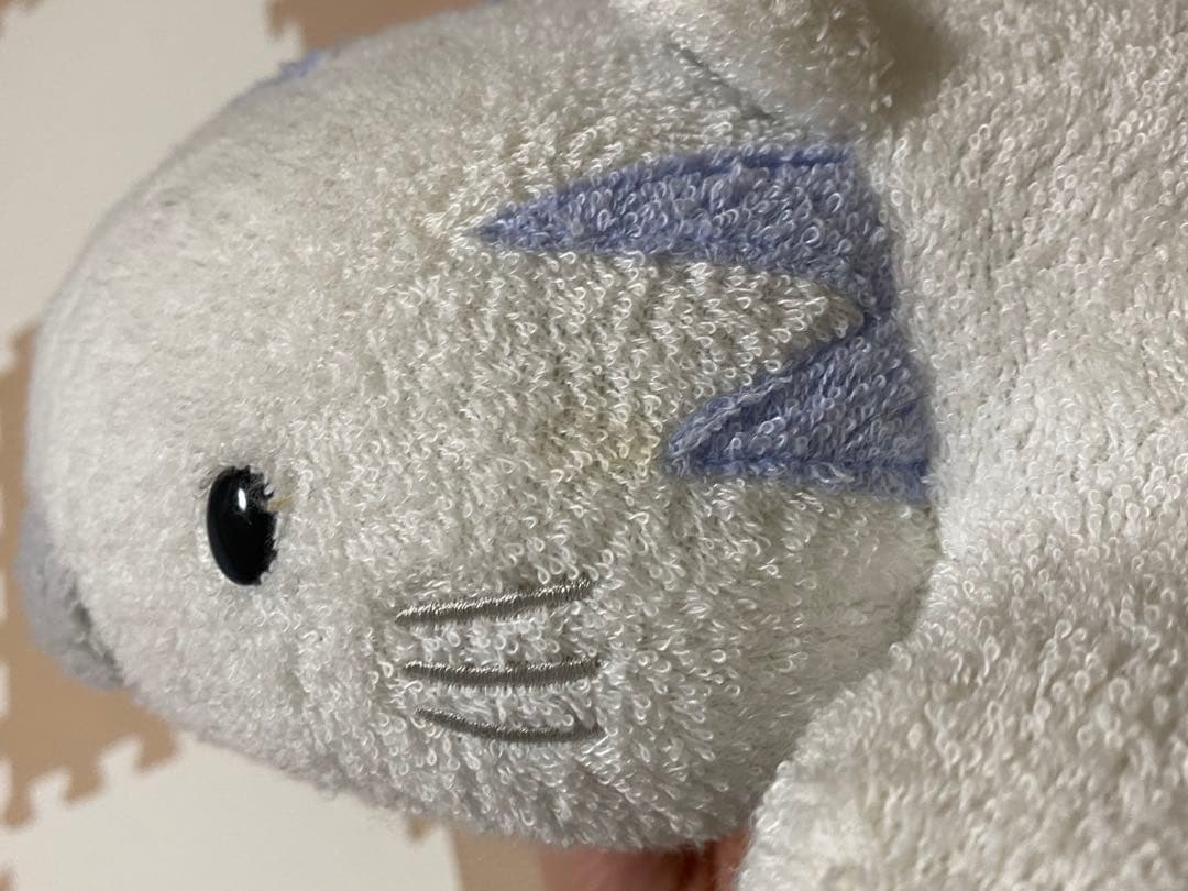 fricca フリッカ まつもと ましゅまろせらぴ うさぎ・ホワイトタイガー