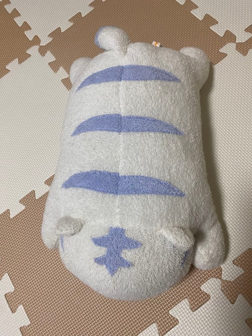 fricca フリッカ まつもと ましゅまろせらぴ うさぎ・ホワイトタイガー