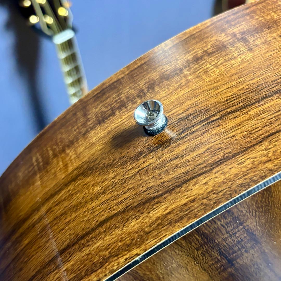 【美品】James トランスギターJ-100A MHT ギグケース付属