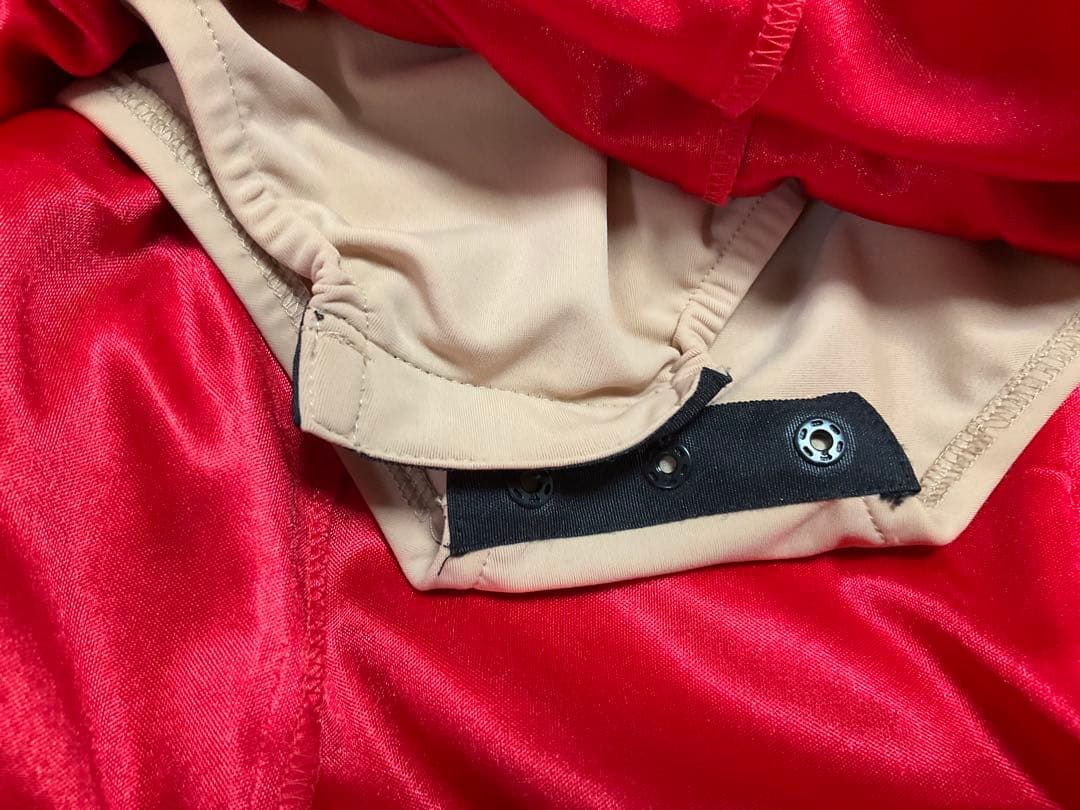 お値下げ‼️社交ダンス ラテン　カラオケ　パーティ　ML 発表会