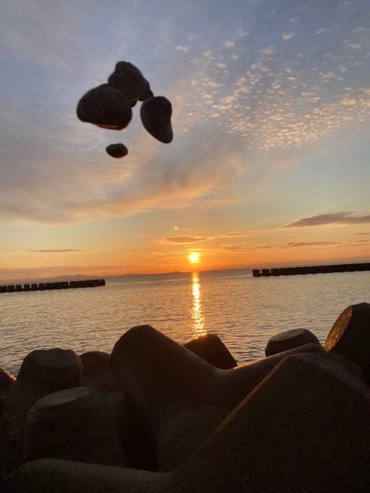 僕がお正月にとった写真です。毎日写真を朝撮っているこの写真は特にお気に入りです。