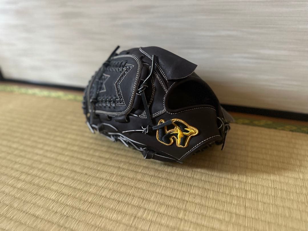 【新品未使用・タグ付】ワールドペガサス 硬式 左投手用 WGK5PT13