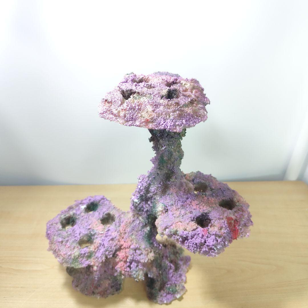 プラグ穴付き アク抜き不要人工ライブロック 海水水槽 レプリカ コーラルフラグ1