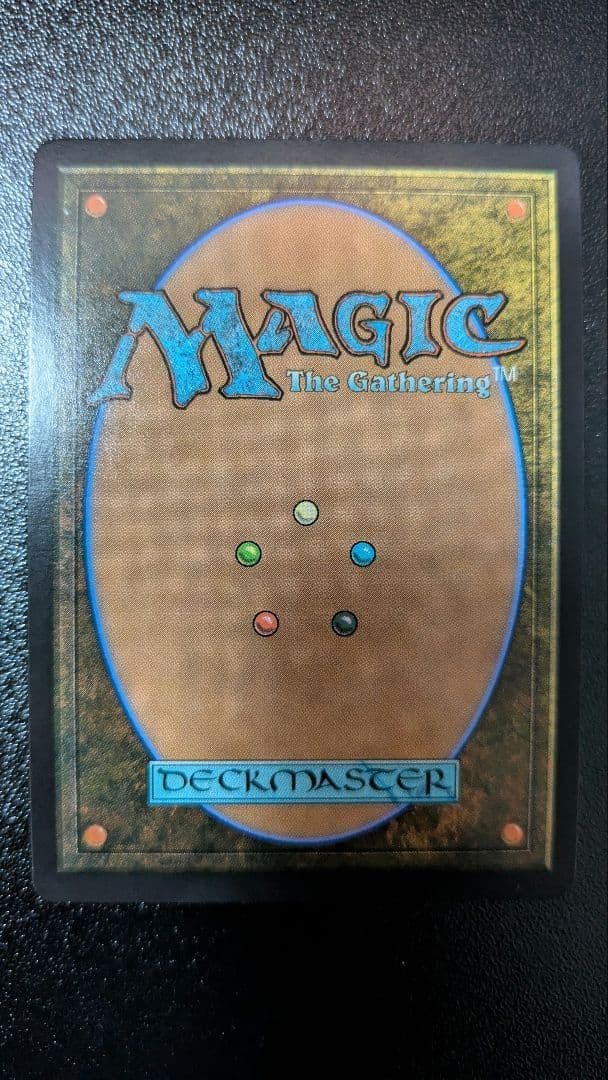 mtg 霧深い雨林 ドラゴンスケイルfoil