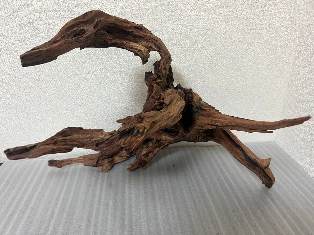 HX-079 流木　ホーンウッド　マシンガンウッド　アクアリウム　ブランチウッド