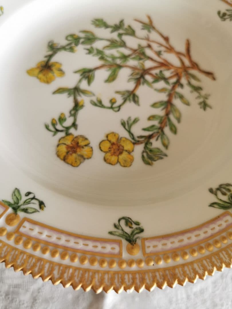 ロイヤルコペンハーゲン至宝φ25フローラダニカ 岩薔薇ヘリアンテム・ヌンムラリム