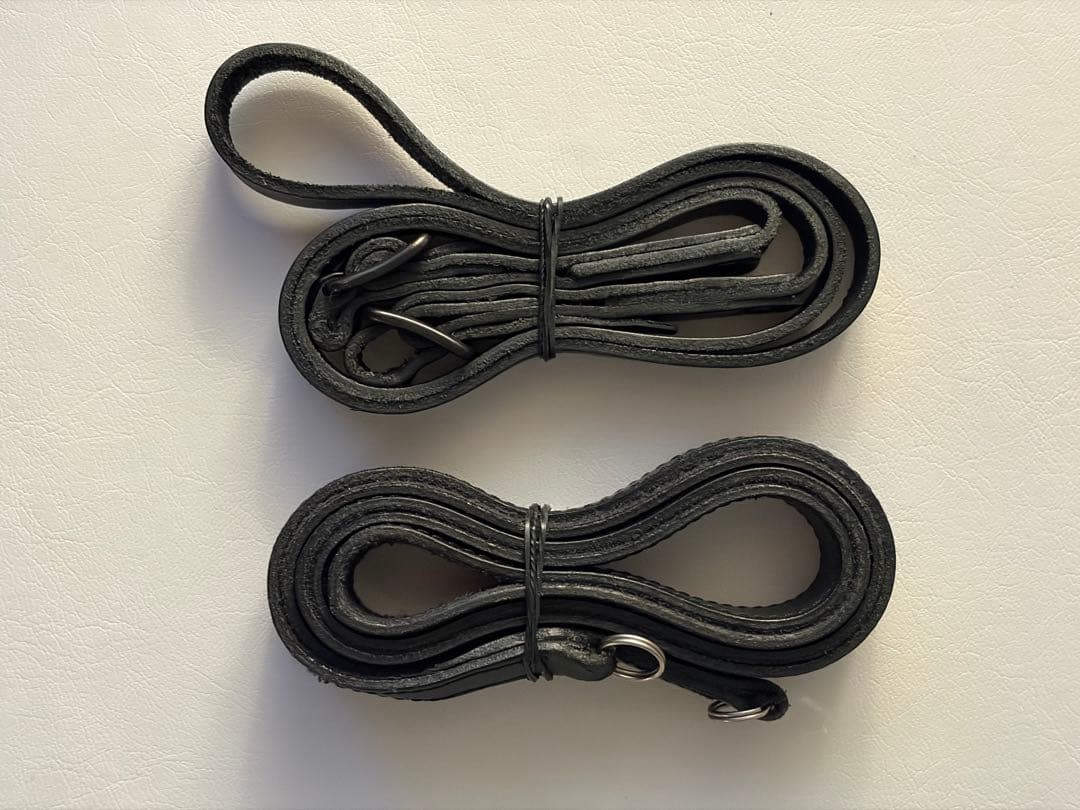 mission ライカ LEICA Q 28mm コンデジ 初代Q