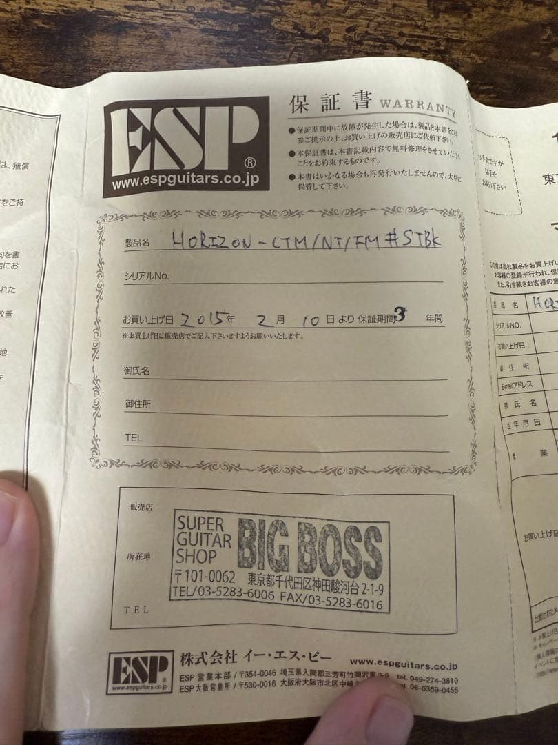 【希少/カスタム最上位・美品】ESP Horizon CTM STBK