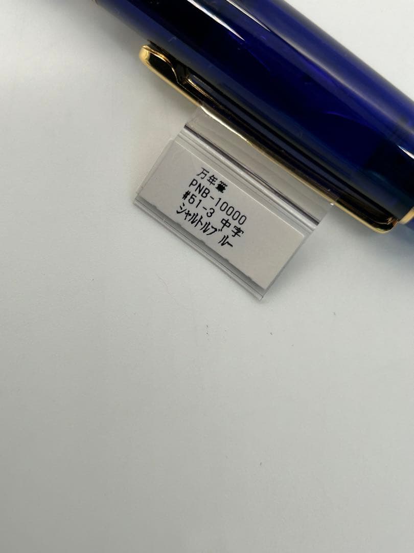 PLATINAM プラチナ万年筆 PNB10000#51-2