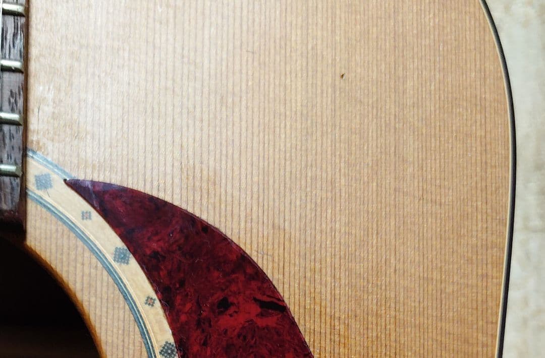 トップ単板　サイモン＆パトリック luthier s&p 6 cedar