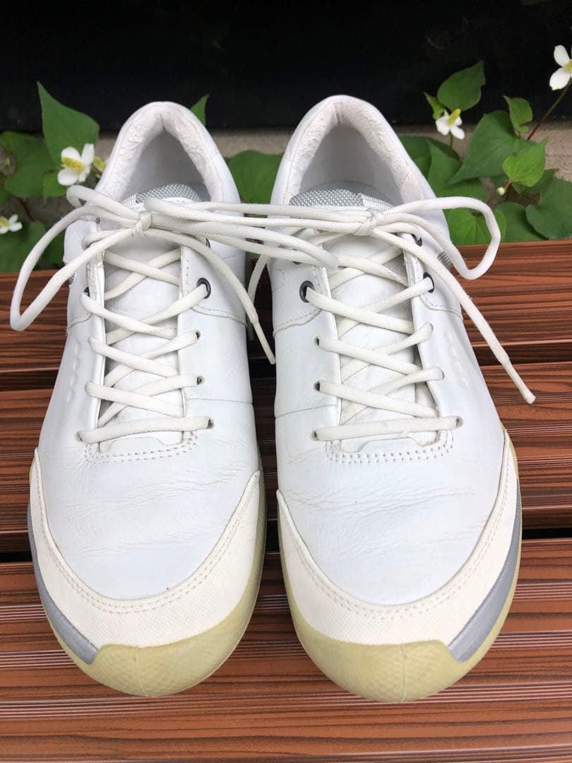 335番 美品ECCO バイオム ゴルフシューズ 38 24.0cmスパイクレス