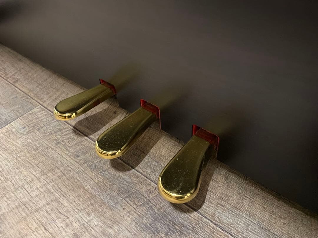 KAWAI 本格的！迫力の音色 木製鍵盤！CA9500GP / CA9500