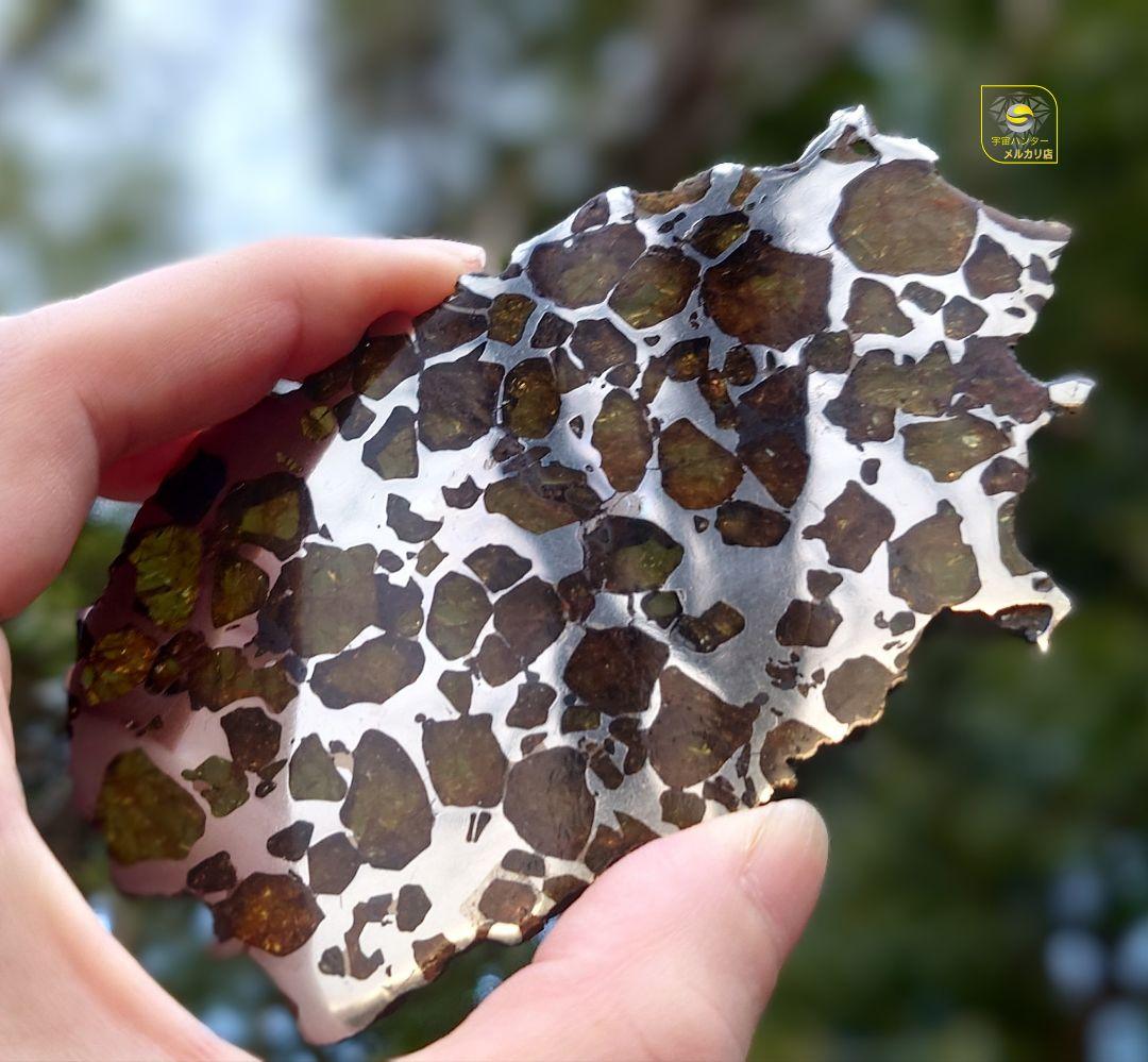 ✨イミラック パラサイト 隕石 70g ⭐⭐