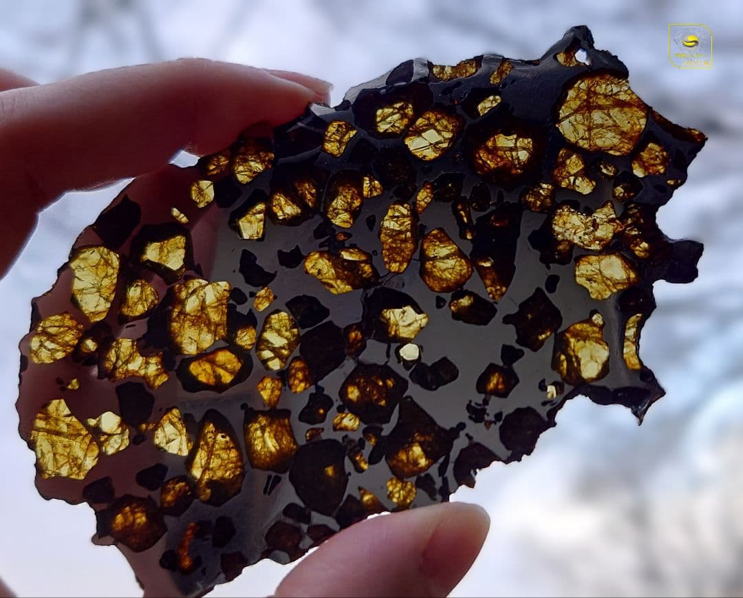 ✨イミラック パラサイト 隕石 70g ⭐⭐