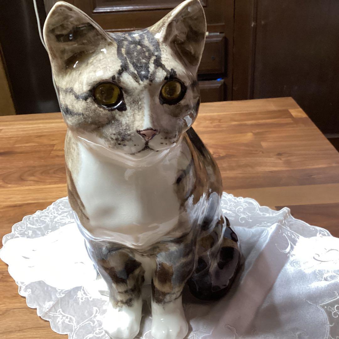 ウィンスタンレーキャット、ケンジントンキャットサイズ6の大きな猫