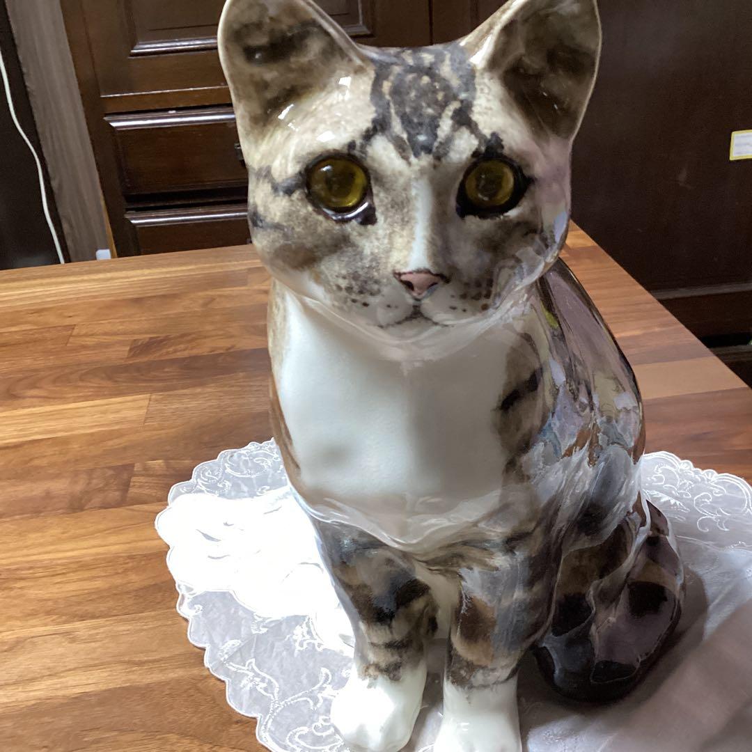 ウィンスタンレーキャット、ケンジントンキャットサイズ6の大きな猫