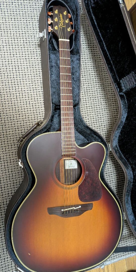 Takamine NPT-012BS【希少・名機】純正ハードケース付