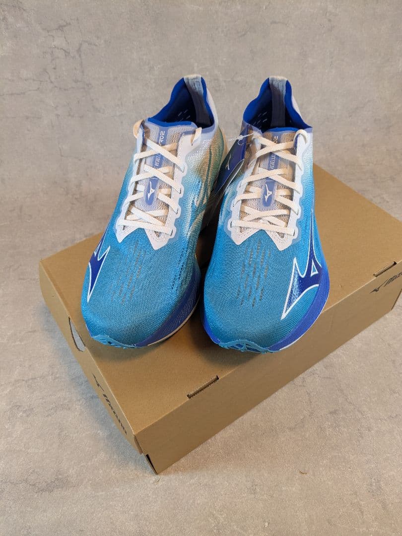 ミズノ MIZUNO メンズ ランニングシューズ ウエーブリベリオンプロ2