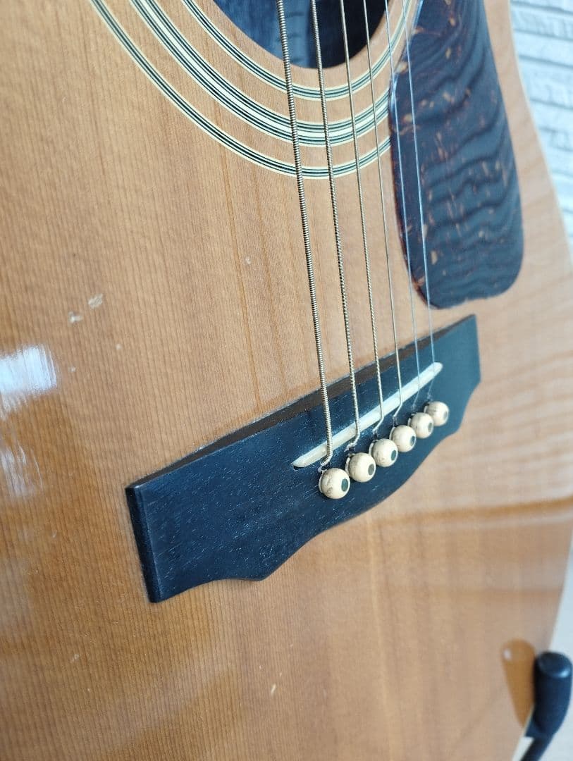 マウンテン＜W-450＞日本製・林楽器製作・トップ単板 guildタイプ