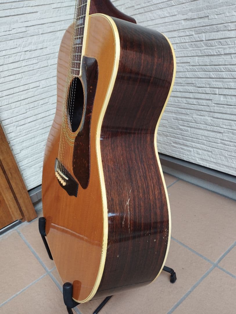 マウンテン＜W-450＞日本製・林楽器製作・トップ単板 guildタイプ