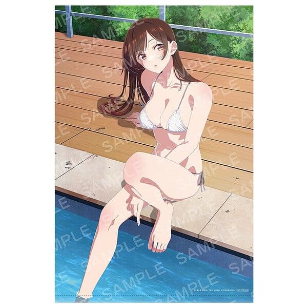 彼女、お借りします 第4期 Blu-ray 下巻 DMM タペストリー 非売品