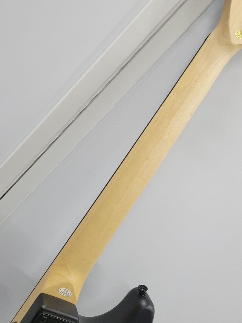 【美品】SELDER エレキギター マットブラック