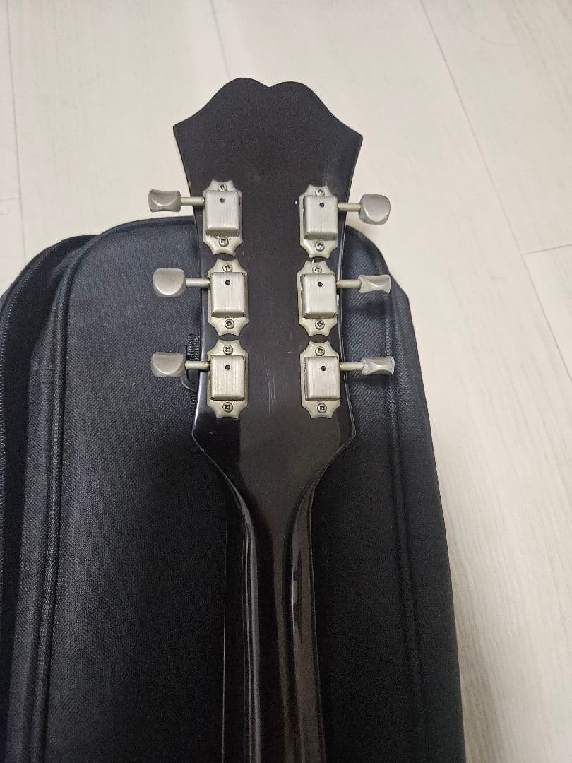 超希少OASISボーンヘッド同型寺田製87年初年度EpiphoneCasino