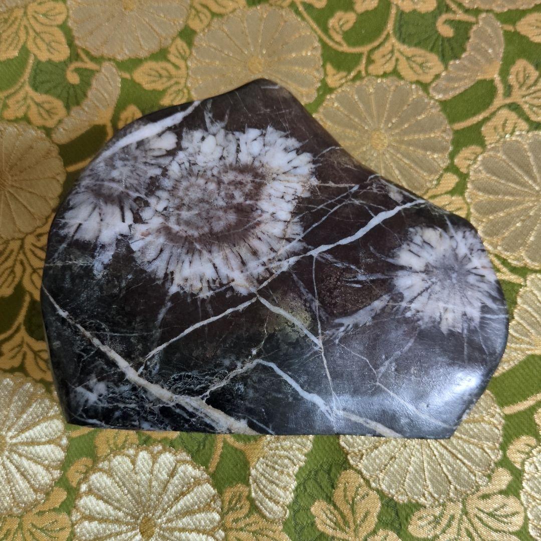 【最終価格】特別天然記念物 岐阜県根尾谷 菊花石