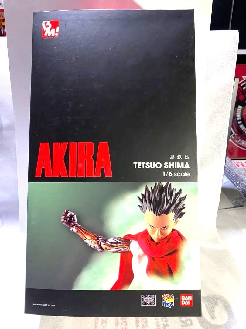 アキラ AKIRA 島鉄雄 1/6スケール PROJECT BM