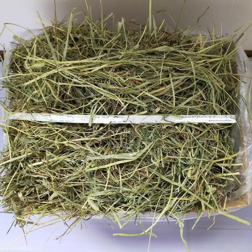 【6/15まで】US産 チモシー 50kg ２番刈 ソフトSプレミアム