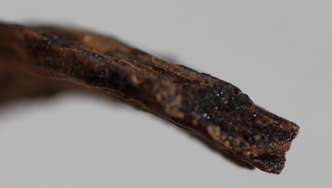 香木 古渡命銘木 「初音」約0.2g 小分け沈香 伽羅 奇南 奇楠 お香 香道