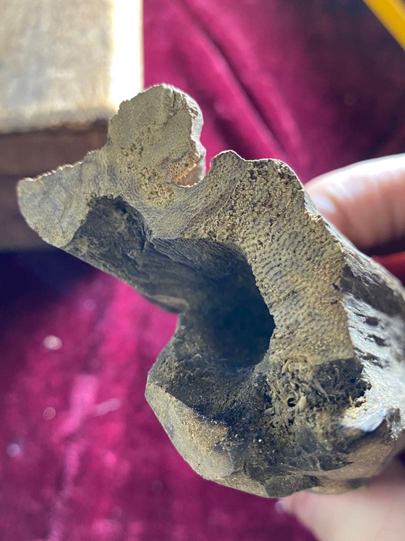 沈香 ベトナム 香木 香道 大块