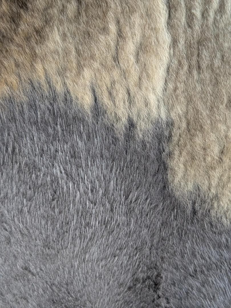 イヴ　サロモン　毛皮インナー付コート